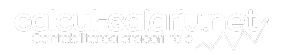 Contabil Expert Brașov - Contabilitate și Consultanță Fiscală